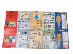 Traducteur De Langage Visuel Médical Et De Secours