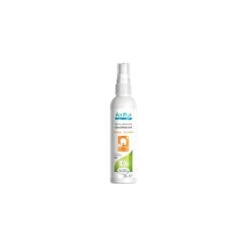 Spray Assainissant Orange-canelle