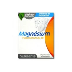 NUTRISANTE MAGNESIUM + VIT B1 B2 B6 CPR EFF 12 X2