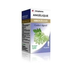Arkogélules Angélique