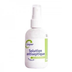 Chlorhexidine 0,5% Spray Solution Antiseptique – 100 Ml